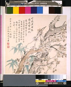 Álbum de flores y pájaros, fecha desconocida (tinta y color sobre seda) de School Chinese