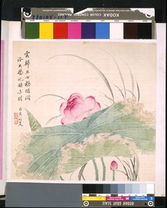 Álbum de flores y pájaros, fecha desconocida (tinta y color sobre seda) de School Chinese