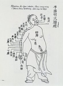Acupuntura china: el intestino grueso