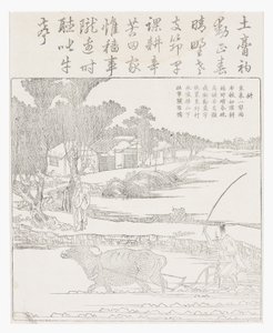 Arando con un búfalo de agua en un arrozal fangoso de School Chinese