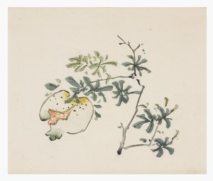 Serie de Diez Bambúes de School Chinese