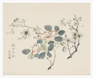 Serie de Diez Bambúes de School Chinese