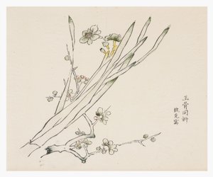 Serie de Diez Bambúes de School Chinese