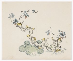Serie de Diez Bambúes de School Chinese