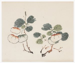 Serie de los Diez Bambúes de School Chinese