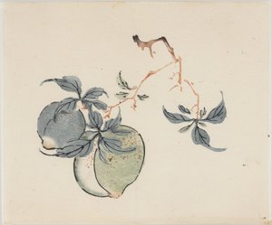 Serie de los Diez Bambúes de School Chinese