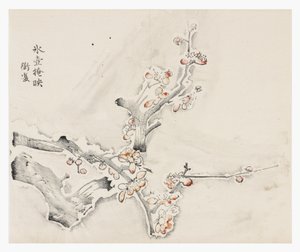 Serie de Diez Bambúes de School Chinese