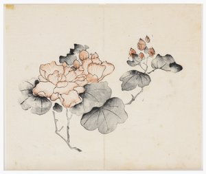 Serie de Diez Bambúes de School Chinese