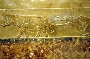 Antiguo Egipto, Grabado mural/pintura, Mastaba/Tumba de Idout, Saqqara, Dinastía VI Hipopótamo da a luz y es presa del cocodrilo que espera (foto) de School Egyptian