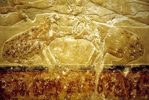 Antiguo Egipto, Pintura mural, Mastaba/Tumba de Idout, Saqqara, Dinastía VI, Dos hipopótamos luchando (foto) de School Egyptian