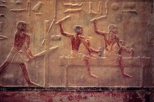 Antiguo Egipto, Tallado/pintura de muros, Mastaba/Tumba de Ti, Saqqara, V Dinastía, Carpinteros serrando y martilleando, Viga perfiladora (foto) de School Egyptian