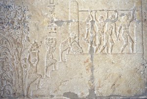 Antiguo Egipto, Pintura mural, Tumba de Petosiris, Tuna el Gebel, 300 a.C., Vendimia, Elaboración del vino, Prensa de vino (foto) de School Egyptian