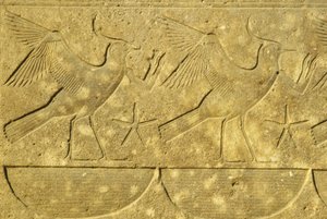 Antiguo Egipto, Pintura mural/talla, Avefrías, representando las diversas tribus de Egipto, Templo de Karnak, Luxor (foto) de School Egyptian