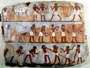 Antigüedad egipcia: pintura mural de la tumba tebana de Ounsou: el trabajo de los campos: arado, plantación, cosecha, transporte de gavillas, desplantación y desgranado. Reinado de Thutmosis III de School Egyptian