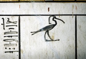 Luxor, Tebas: Valle de los Reyes, Tumba de Amenofis III, faraón egipcio de la XVIII dinastía (-1410 - -1370). de School Egyptian