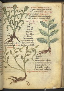 Harley 4986 f.23 Nymphia; Isatis; Crision, de 