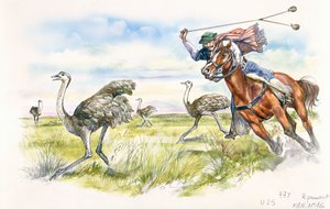 Argentina - gauchos cazando ñandúes en la Pampa
