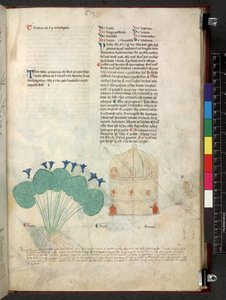 Egerton 747 Tractatus de herbis (Herbal) c.1280-1310 (tinta y color sobre vitela) de School Italian