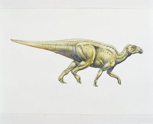 Hadrosáurido o dinosaurio de pico de pato