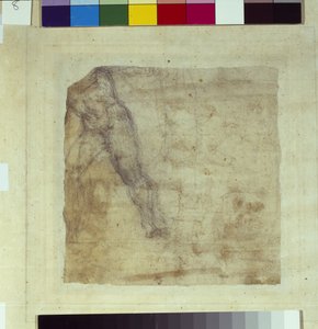 Estudio de un hombre