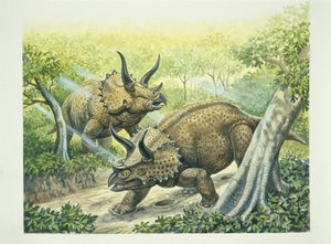 Triceratops horridus, período Cretácico