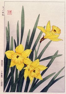 Narcisos cercanos - Estampa japonesa