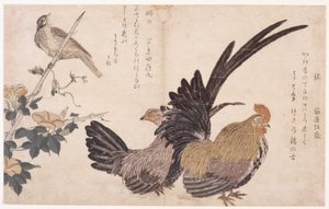 Gallos, gallinas y pájaros de School Japanese