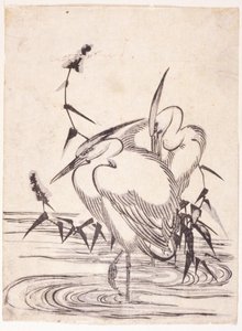 Dos garzas
