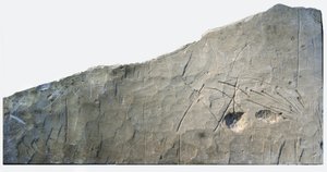 Inscripción funeraria hebrea de Beth Loya, colinas de Judea, Israel, siglo VI a.C.