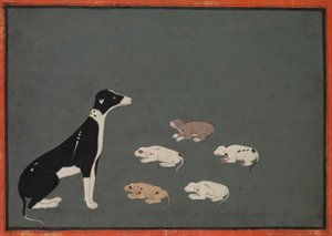 Perro con cachorros, c.1780 (tinta y acuarela opaca sobre papel) de School Mughal