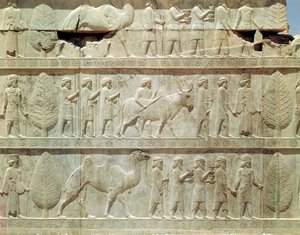 Detalle del friso en relieve en la escalera este del Apadana (sala de audiencias) que representa delegados de las tierras sujetas al imperio llevando regalos lujosos para una ceremonia, período Aqueménida, c.515 a.C.