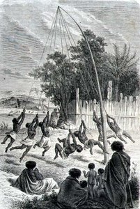 Guerreros Maoríes Jugando en un Columpio, ilustración de 