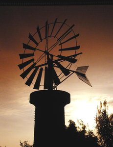 Molinos de viento en Es Pla, Palma