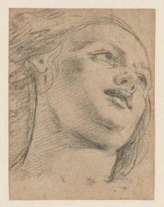 Estudio de cabeza femenina mirando hacia arriba a la derecha (recto); Estudio de dos figuras sosteniendo un objeto (verso) de School of Guido Reni