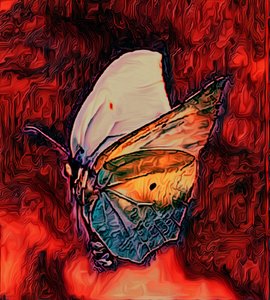 Mariposa, 2021 de Scott J. Davis