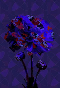 Clavel,3 2019 de Scott J. Davis