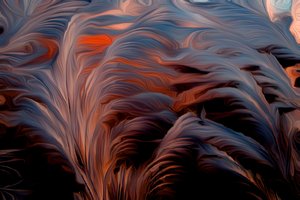 Pluma de Scott J. Davis