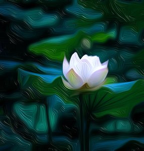 Lirio blanco de Scott J. Davis