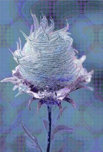 Avens4 de madera, 2019 de Scott J. Davis