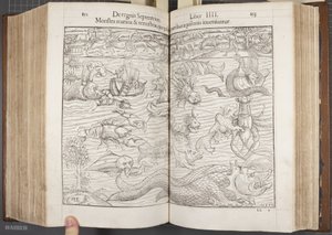 Cosmographia, Fol 852-853, 1544 de Sebastian Munster
