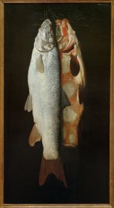 Naturaleza muerta de peces