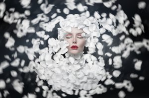El sueño de los pétalos blancos