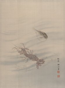 Fondo del mar mostrando langostas, ca. 1890-92 de Seki Shuko