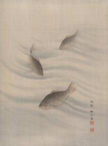 Peces Nadando, ca. 1890-92