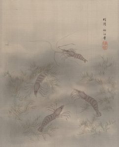 Camarón Ebi, ca. 1890-92 de Seki Shuko