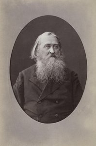 Retrato del poeta Aleksey Nikolayevich Pleshcheyev 1825-1893, 1870