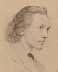 Retrato de un hombre de Severin Falkman