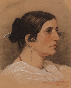 Perfil de una mujer de Severin Falkman