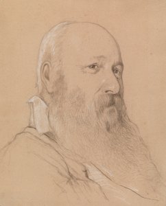 Retrato de un hombre con barba de Severin Falkman