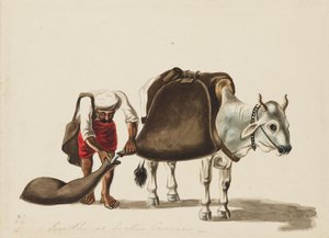 Aguador, c. 1810 de Sewak Ram